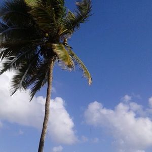 Meet your Posher, Axel